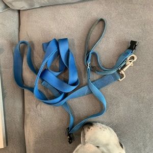 Gentle leader & leash